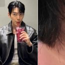 이광수동물병원 이미지