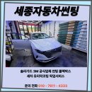 세종썬팅365카틴트솔라가드세종장군점