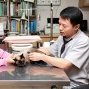 한빛동물병원 이미지