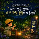 반딧불이 | 화담숲 반딧불이 체험 후기｜예약 성공 팁부터 야간 관람 꿀팁까지 총정리