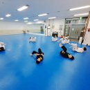 아트특공무술주짓수 네이버블로그