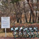 섬진강종주2 이미지