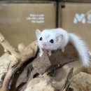 서산아크릴 네이버블로그
