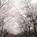 율하광장 반계공원 이미지