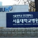 서울대학교병원 이미지