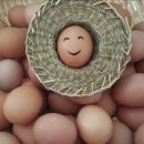 알찬유정란