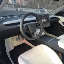 동남카랜드 | 천안 테슬라 모델3 하이랜드 요크핸들&amp;혼커버 화이트교체 후기 당진 서산 예산 공주 아산