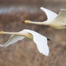 주남펜션민박 이미지