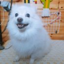 이쁘개(내포신도시점) 이미지