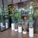 내가좋아하는 | 내가 좋아하는 홍대 뷔페 선셋클라우드 후기