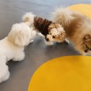 옐레드 송파헬리오시티점 이미지