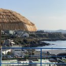 제주 반딧불 이미지