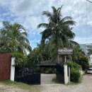 골드팜 | 보홀 태교여행 알로나비치 주변 10만원대 갓성비 숙소 골든팜리조트 3박 숙박후기