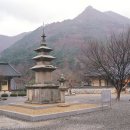 진골 | 통일신라 후기 석탑 (822~901년) Ⅳ-단층,이형기단석탑,이형석탑