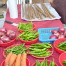 뚝섬한강공원-70 이미지