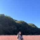 GS25 옥천향수점 네이버블로그