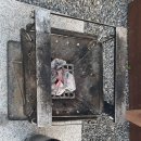 청평 글램핑 리즈밸리 가족단위 &amp; 친구들과 함께하기 적당한곳