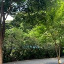 레트로캠핑N민박 이미지