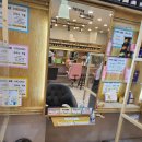 다잘헤어샵