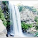 제주 서귀포 정방폭포 이미지