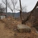 소담채