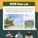 스테이앤모어 이미지