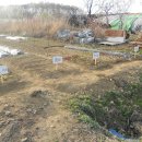 미리농장 이미지