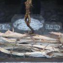 바다어시장 이미지