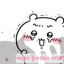 고슴도치 마을의 촌장🦔‎🤍#31 이미지