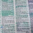 하프문베이 이미지