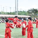 기장 차오름태권도 이미지