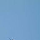 모닝비치 이미지