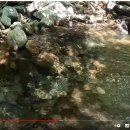 버스정류장 07-208 이미지