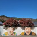 자라마을 | [전남신안 퍼플섬 여행] 반월도 박지도 퍼플교를 따라 섬여행할 때 준비할 것들