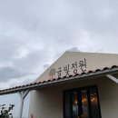 시후농장 | 제주 애월 감귤따기 체험 귤빛정원 감귤체험농장