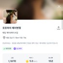 하이,포포 이미지