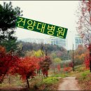 가능골공원 이미지