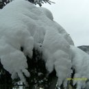 무지개횟집 이미지