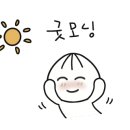단비다육