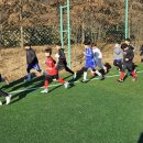 용인대 비전태권도장 이미지