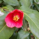 강동어르신행복센터 이미지