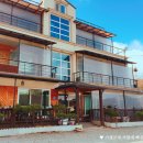 아모르 루시 이미지