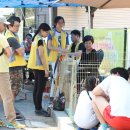 7월 23일, 상암동 반려동물놀이터 입양캠페인 행사 안내 및 자원봉사 모집 이미지