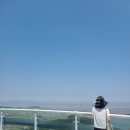 연산군 유배지 | 강화 교동 가볼 만한 곳 '강화도 화개정원, 연산군 유배지' 강화 화개산 전망대, 화개정원 모노레일 가격