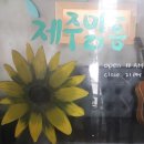 제주맑음 이미지