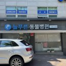 늘푸른동물병원 | 은평구 신사동 늘푸른동물병원 방문기 🐾 잇몸 부음(치아흡수병변) 스케일링 + 발치 후기