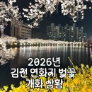 김천문화회관 (옥외2)_김천문화회관_#1 | 김천 연화지 벚꽃 개화 상황 (2026.04.02) 만개 실시간 + 축제 주차 꿀팁