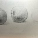 수채화(작품반) 이미지