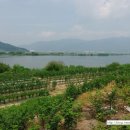 월촌농장2 이미지