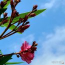 서귀포시평생학습관-7 (옥내1) | 서귀포 시민대학, 제주 역사 문화 관광지 현장 탐방